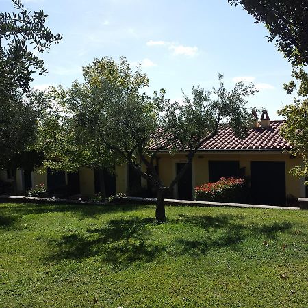 Agriturismo La Vite E Gli Ulivi Villa Ariccia Exterior foto