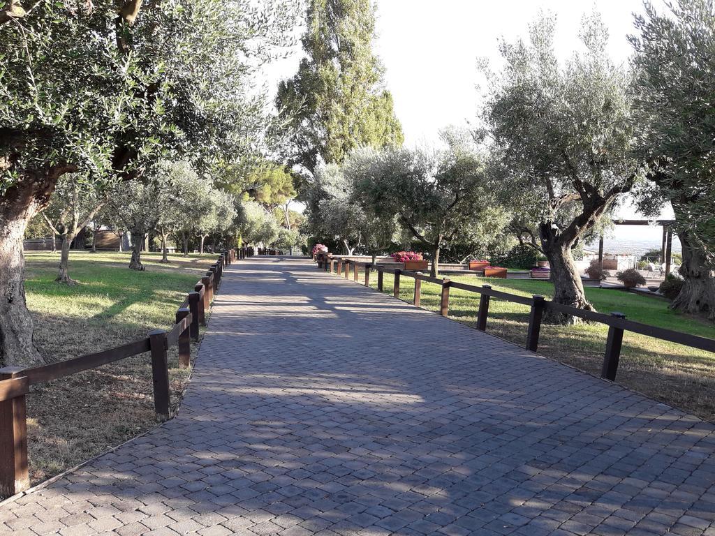 Agriturismo La Vite E Gli Ulivi Villa Ariccia Exterior foto