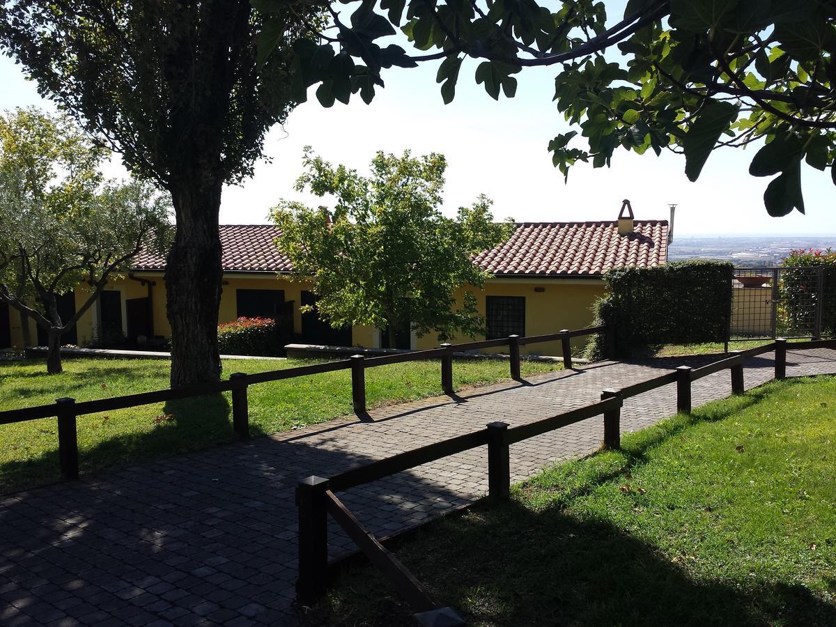 Agriturismo La Vite E Gli Ulivi Villa Ariccia Exterior foto